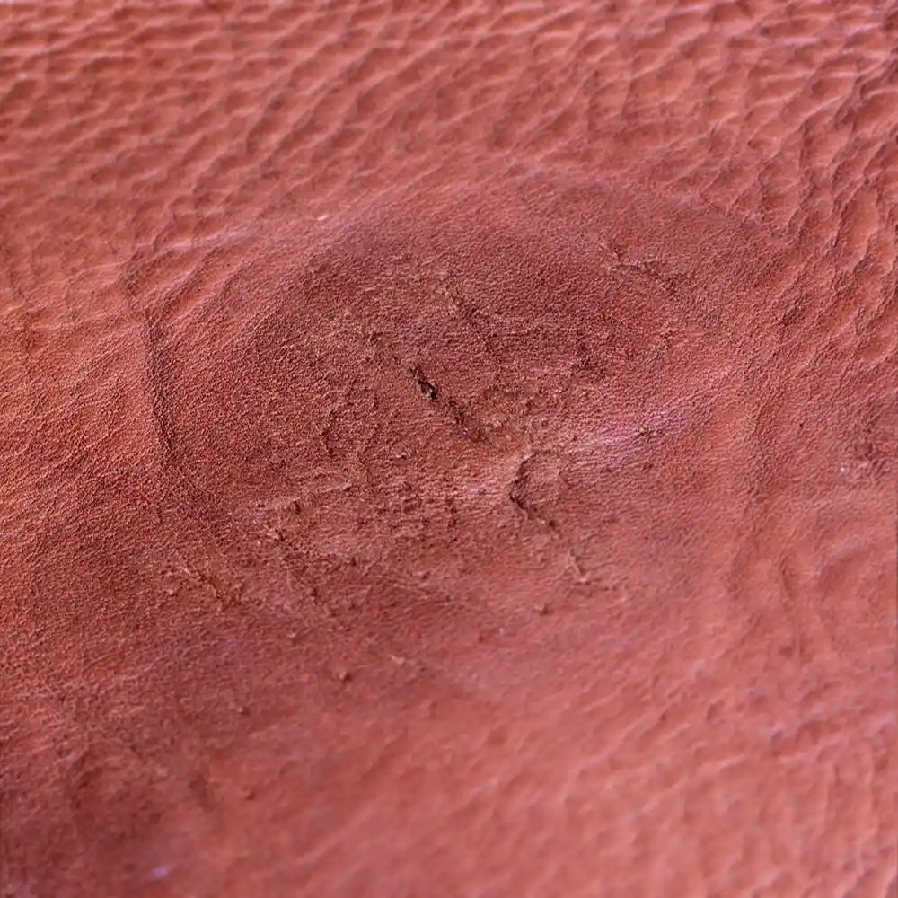 Leather section with many scarred insect bites