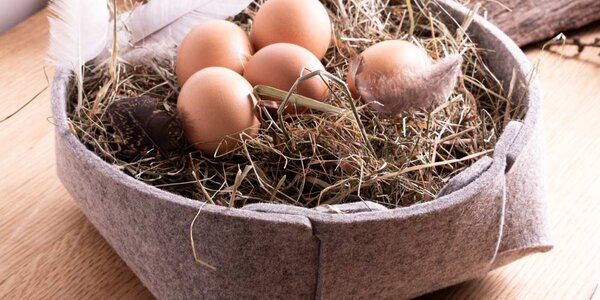 Osterkorb aus Filz – Ideen für Osterdeko & Osternest