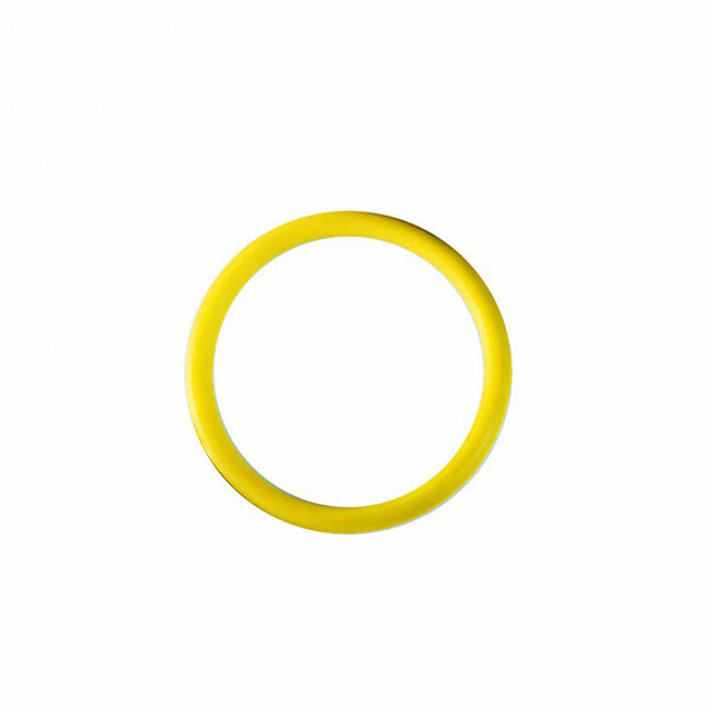 AIRMAR DST800 Yellow O Ring for valve