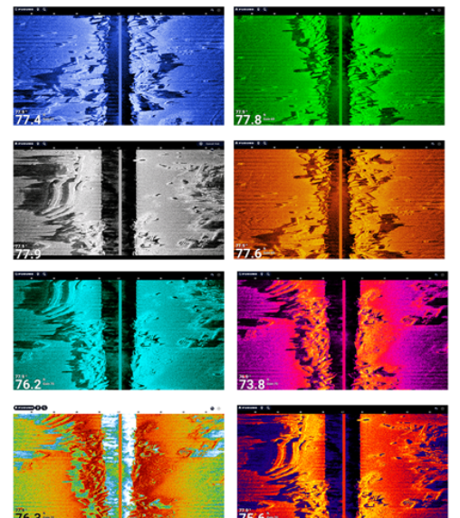 Transducer with side scan 