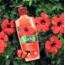 DABUR VATIKA Hibiscus Multivitamin Hair Oil 200 ml.