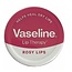 VASELINE Lip Therapy Rosy Lips 20 gr.