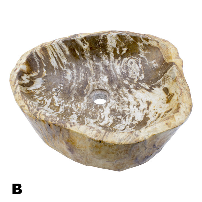 Indomarmer Polished Petrified Wood Washbasin Set