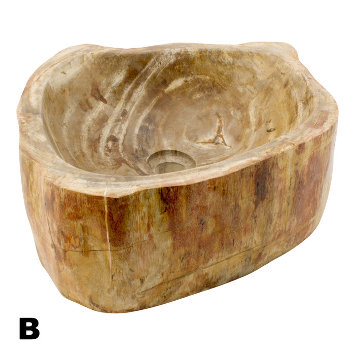 Indomarmer Polierte Set Waschbecken aus Versteinertes Holz