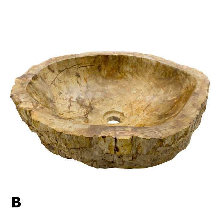 Indomarmer Set Waschbecken aus Versteinertes Holz