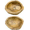 Set Waskommen van Versteend Hout