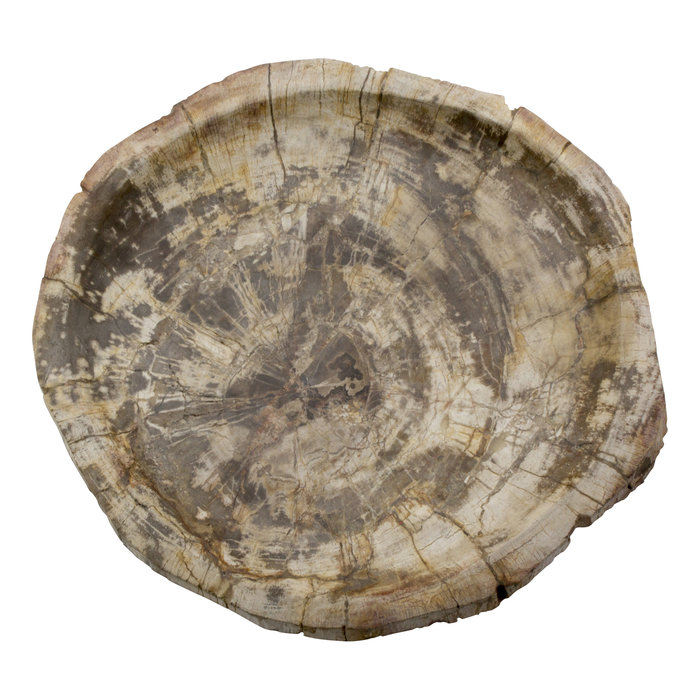 Indomarmer 4-Piece Petrified Wood Bath Set Liana