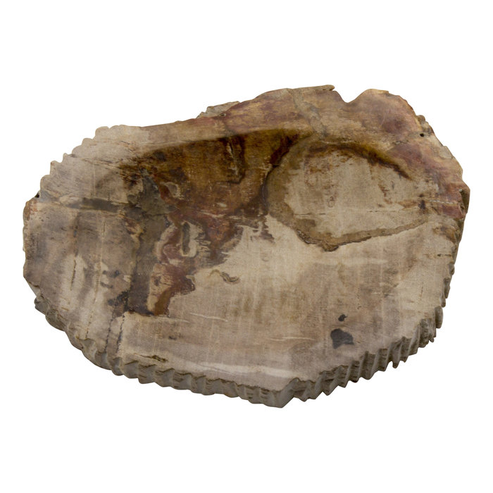 Indomarmer 4-Piece Petrified Wood Bath Set Liana
