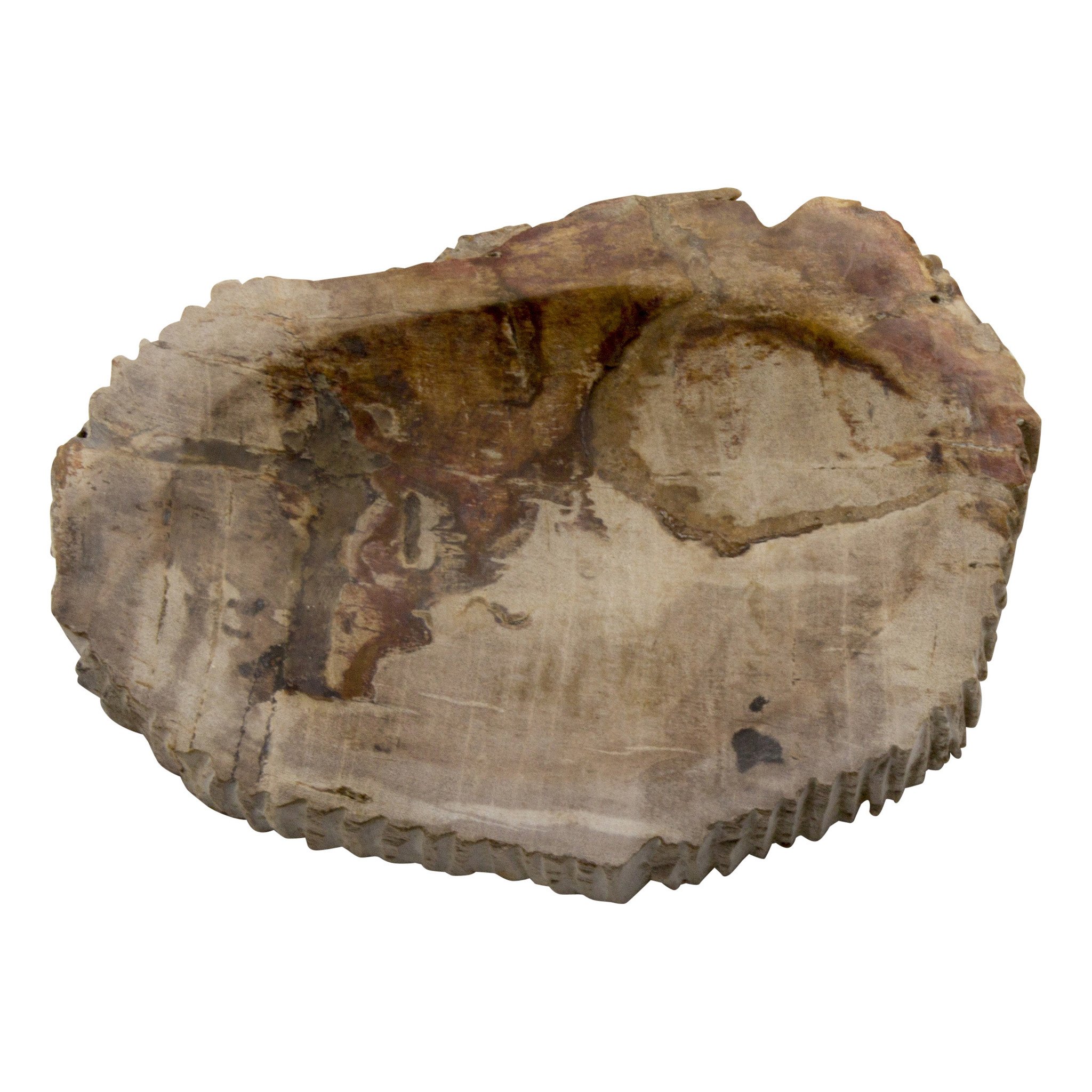 Indomarmer 4-Teilige Versteinertes Holz Badeset Liana
