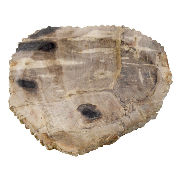 Indomarmer 4-Teilige Versteinertes Holz Badeset Liana