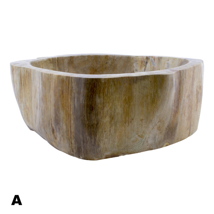 Indomarmer Polished Petrified Wood Washbasin Set
