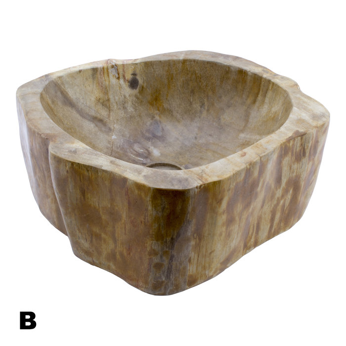 Indomarmer Polished Petrified Wood Washbasin Set