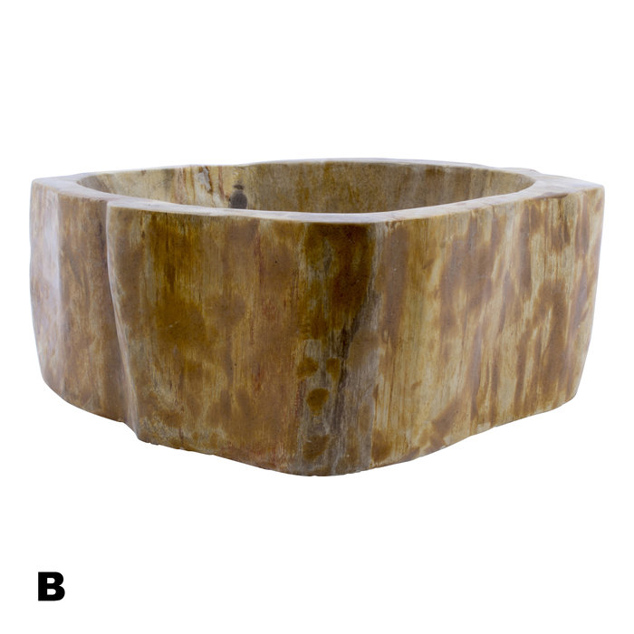 Indomarmer Polished Petrified Wood Washbasin Set
