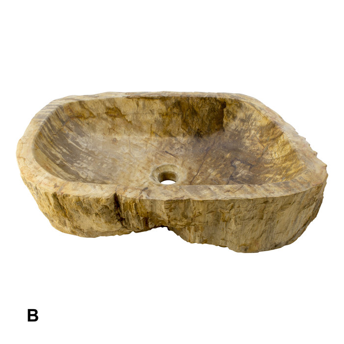 Indomarmer Set Waschbecken aus Versteinertes Holz