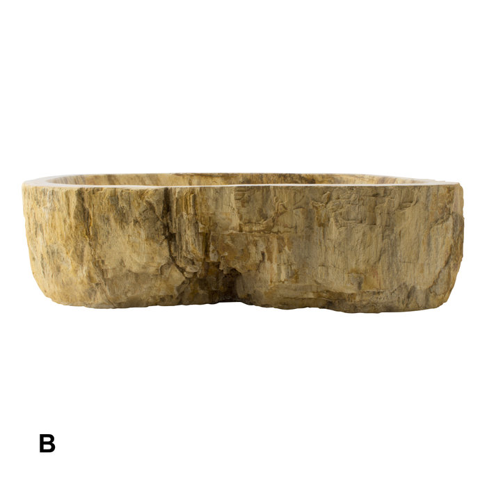 Indomarmer Set Waschbecken aus Versteinertes Holz