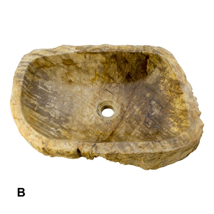 Indomarmer Set Waschbecken aus Versteinertes Holz