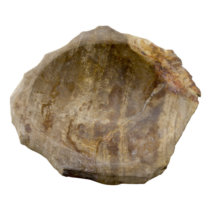 Indomarmer 4-Piece Petrified Wood Bath Set Liana