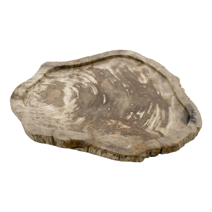 Indomarmer Schale aus Versteinertes Holz