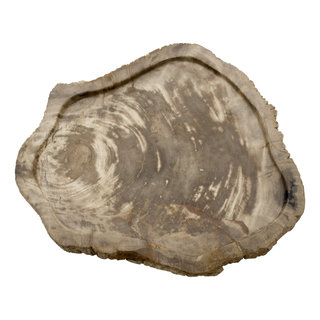 Indomarmer Schaal van Versteend Hout