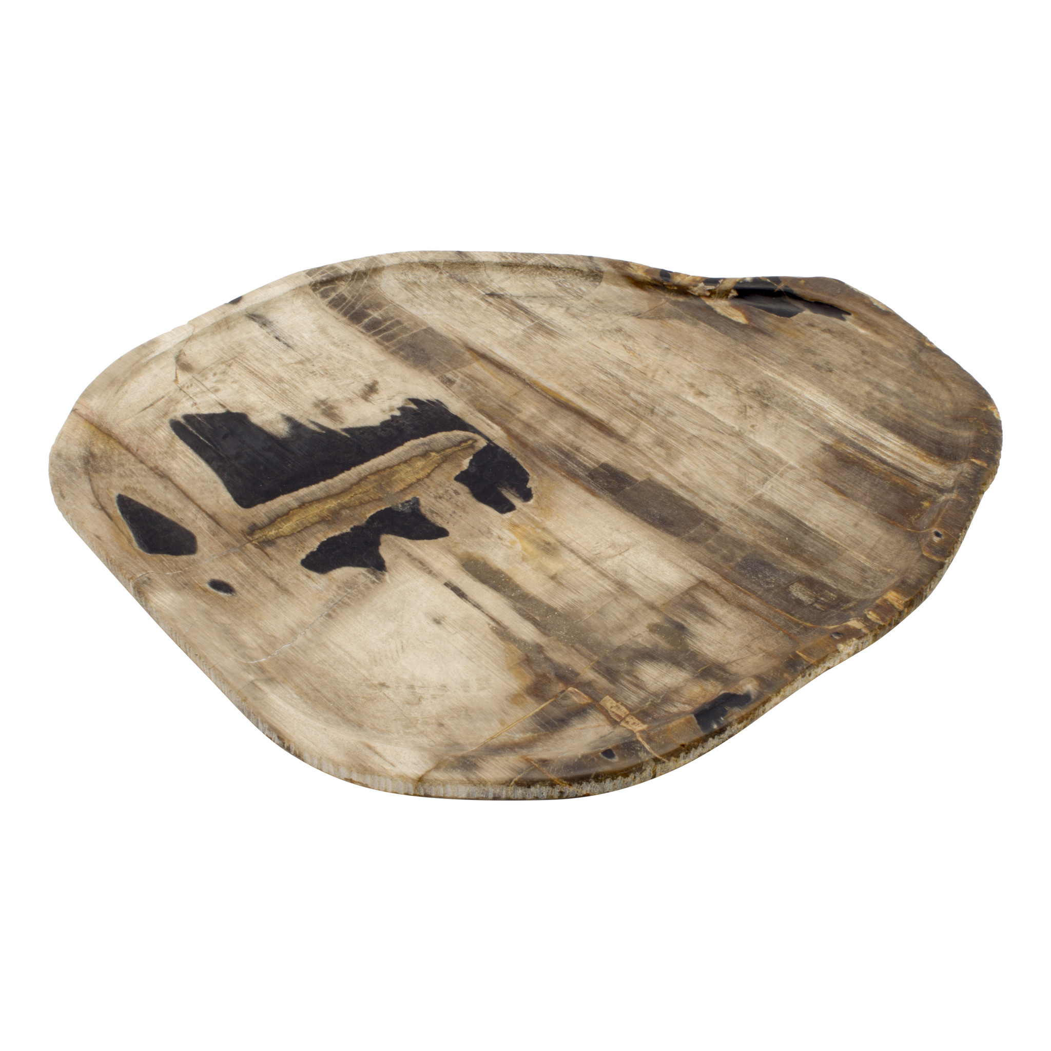 Indomarmer Petrified Wood Plate