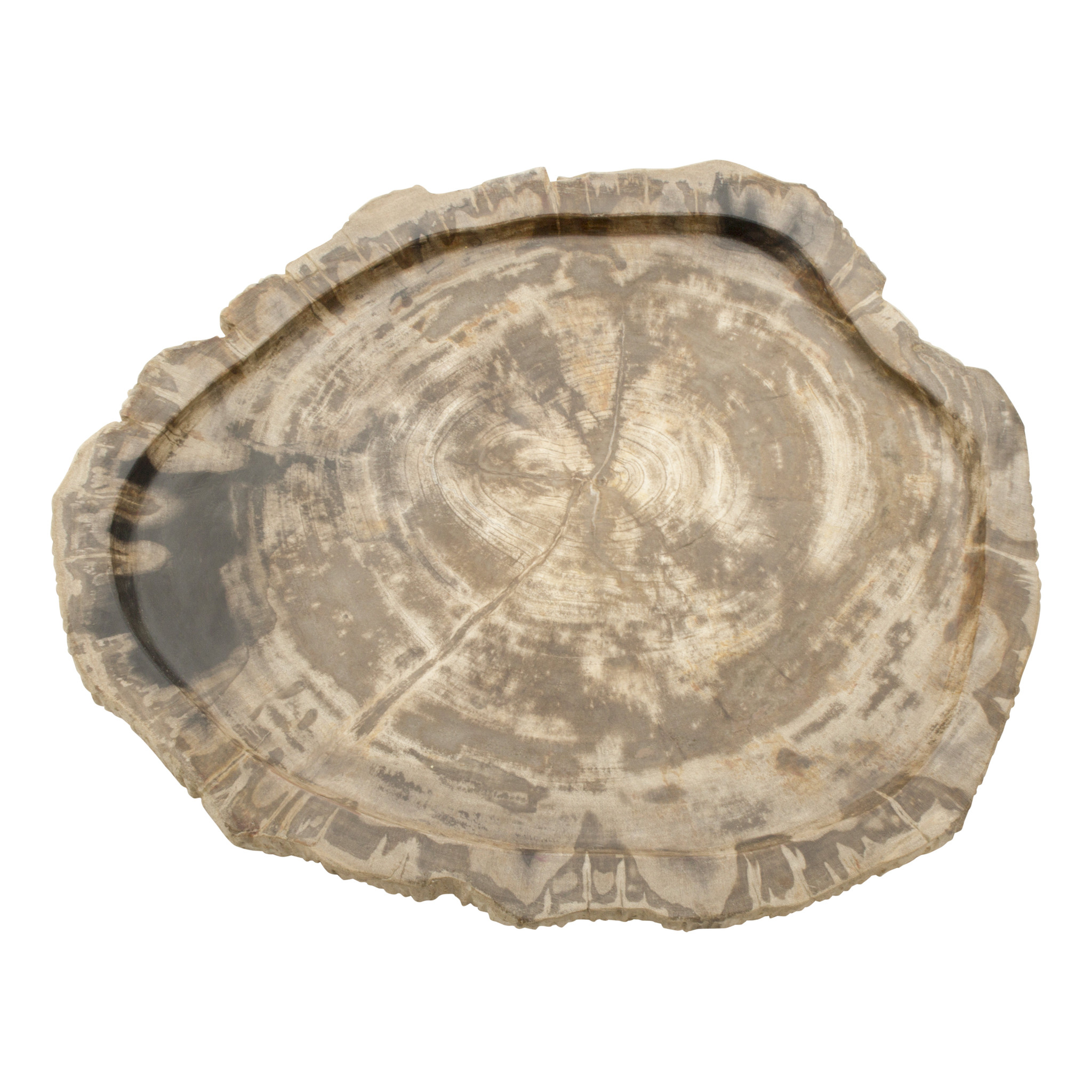 Indomarmer Petrified Wood Plate