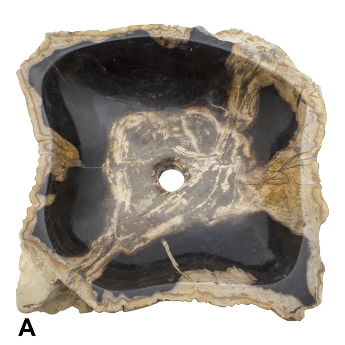 Indomarmer Set Waschbecken aus Versteinertes Holz