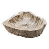 Indomarmer Washbasin of Petrified Wood 58x40x15cm