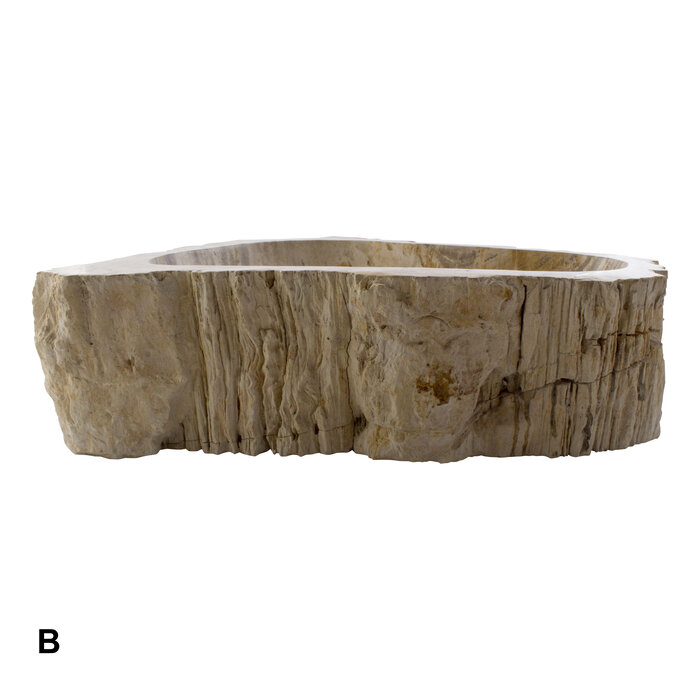 Indomarmer Set Waschbecken aus Versteinertes Holz