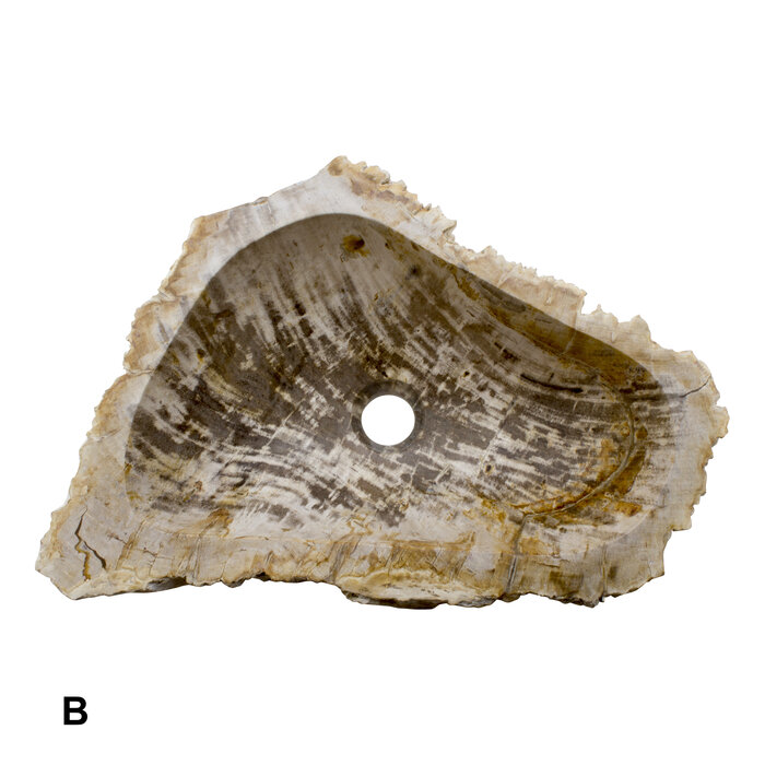 Indomarmer Petrified Wood Washbasin Set