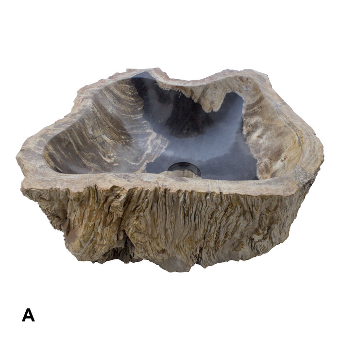 Indomarmer Set Waschbecken aus Versteinertes Holz