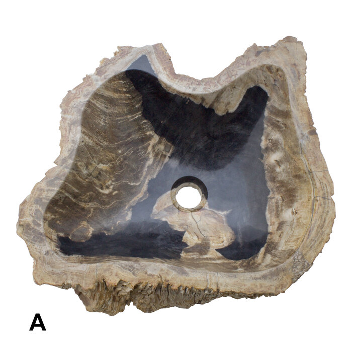 Indomarmer Set Waschbecken aus Versteinertes Holz