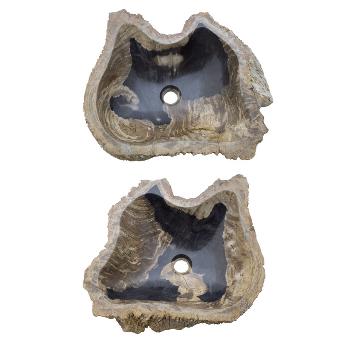 Indomarmer Set Waschbecken aus Versteinertes Holz