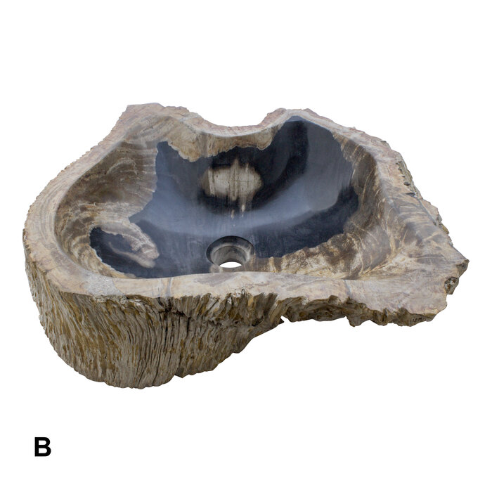 Indomarmer Set Waschbecken aus Versteinertes Holz