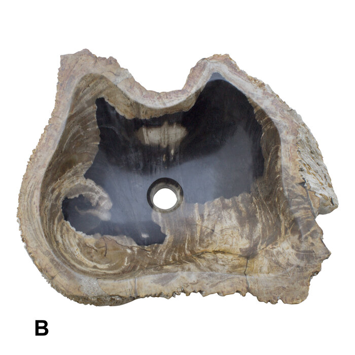 Indomarmer Set Waschbecken aus Versteinertes Holz