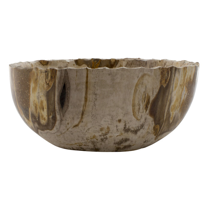 Indomarmer Petrified Wood Fruit bowl