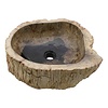 Washbasin of Petrified Wood 45x40x15cm