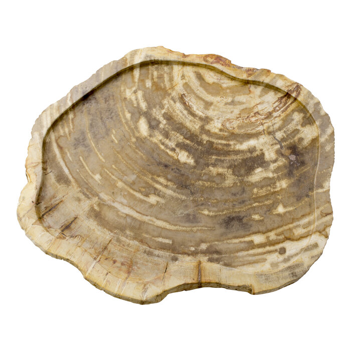 Indomarmer 4-Piece Petrified Wood Bath Set Liana