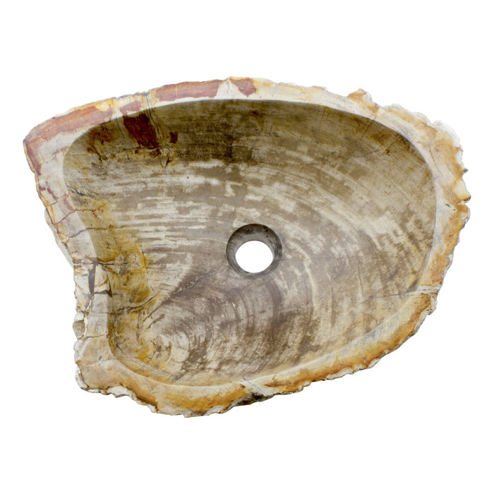 Indomarmer Washbasin of Petrified Wood 47x36x15cm