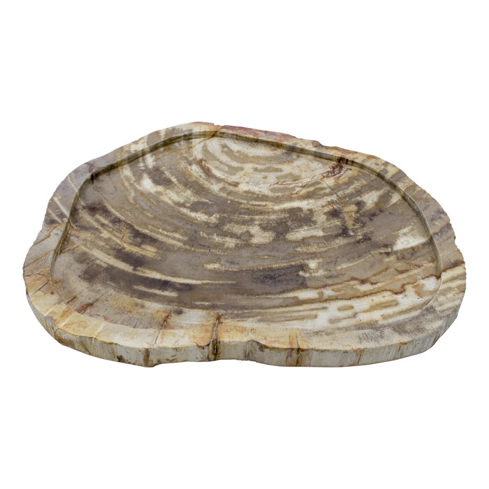 Indomarmer Schale aus Versteinertes Holz