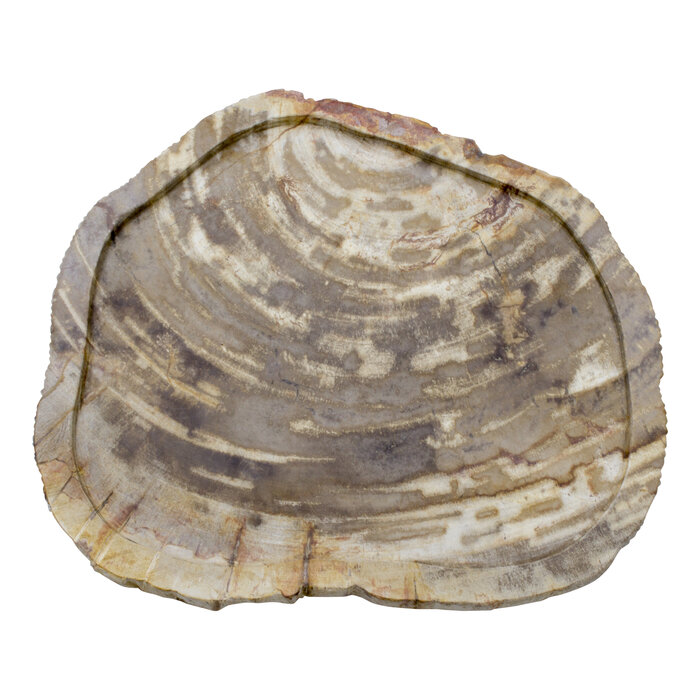 Indomarmer Schale aus Versteinertes Holz