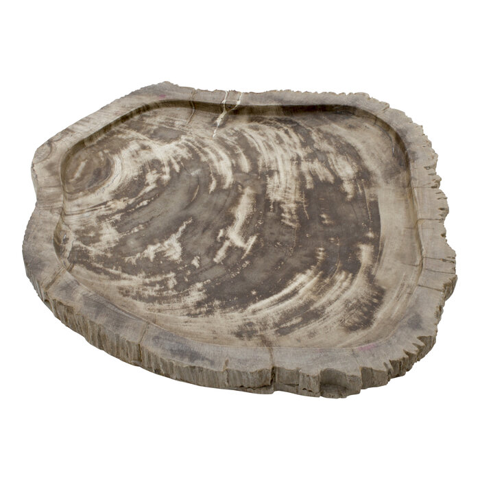 Indomarmer Petrified Wood Plate
