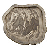 Schaal van Versteend Hout