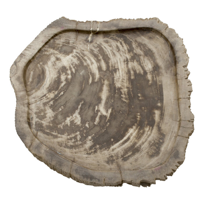Indomarmer Petrified Wood Plate