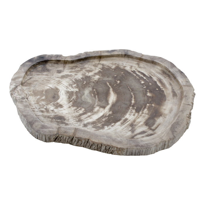 Indomarmer Schale aus Versteinertes Holz