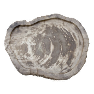 Indomarmer Schale aus Versteinertes Holz