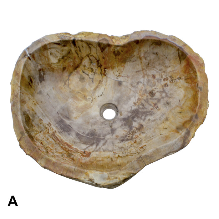 Indomarmer Set Waschbecken aus Versteinertes Holz