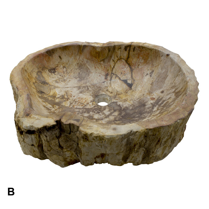 Indomarmer Set Waschbecken aus Versteinertes Holz