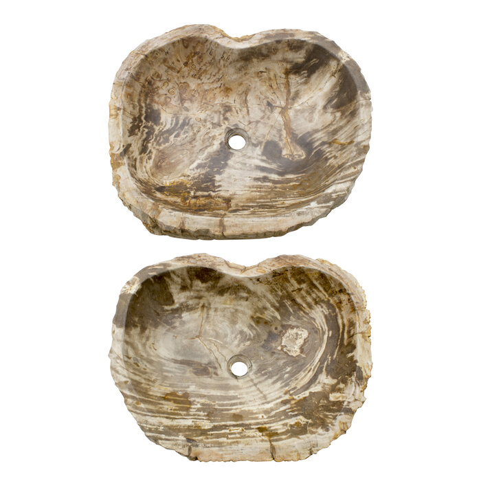 Indomarmer Set Waschbecken aus Versteinertes Holz