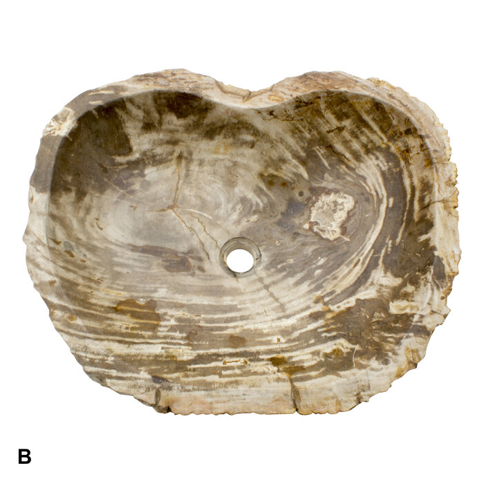 Indomarmer Set Waschbecken aus Versteinertes Holz