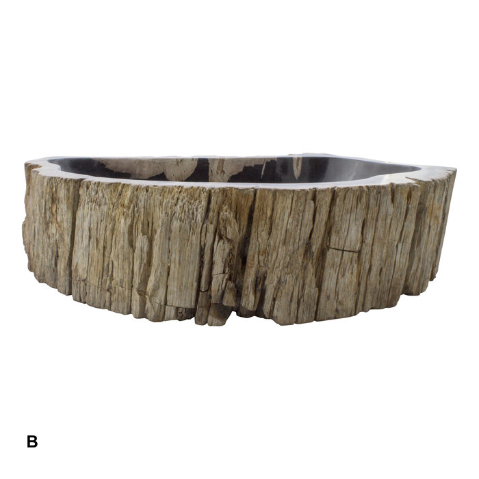 Indomarmer Set Waschbecken aus Versteinertes Holz